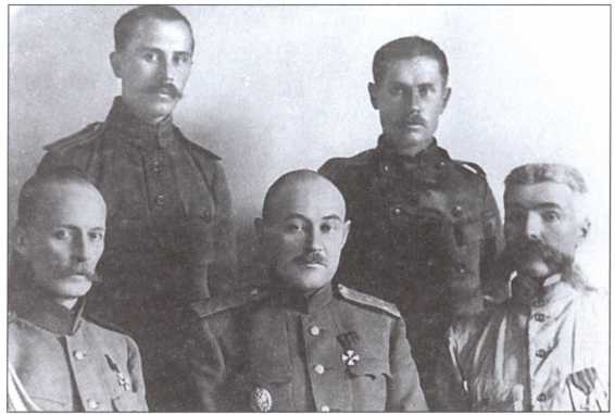 Казачья Вандея Казачья Вандея