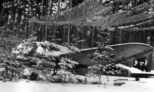 Разгром 1945. Битва за Германию Разгром 1945. Битва за Германию