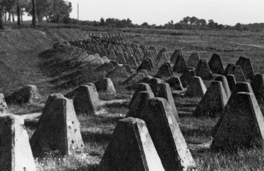 Разгром 1945. Битва за Германию Разгром 1945. Битва за Германию