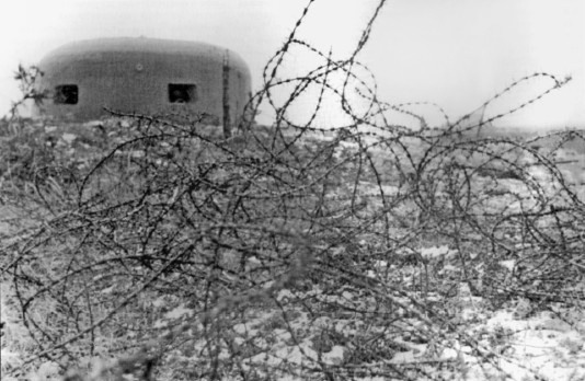 Разгром 1945. Битва за Германию Разгром 1945. Битва за Германию