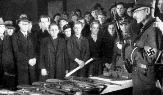 Разгром 1945. Битва за Германию Разгром 1945. Битва за Германию