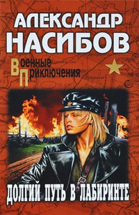 Долгий путь в лабиринте - Александр Насибов - Читать книги онлайн | Слушать аудиокниги онлайн | Электронная библиотека books-lib.com
