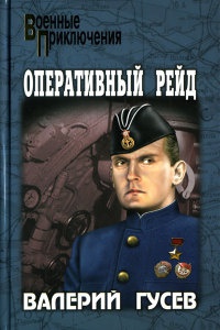 Оперативный рейд - Валерий Гусев - Читать книги онлайн | Слушать аудиокниги онлайн | Электронная библиотека books-lib.com