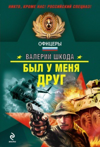 Был у меня друг - Валерий Шкода - Читать книги онлайн | Слушать аудиокниги онлайн | Электронная библиотека books-lib.com
