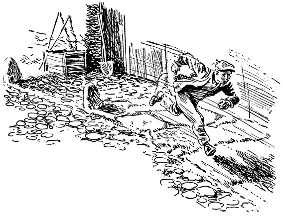 Зеленые цепочки Зеленые цепочки