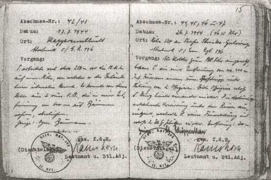 Железный крест для снайпера. Убийца со снайперской винтовкой Железный крест для снайпера. Убийца со снайперской винтовкой