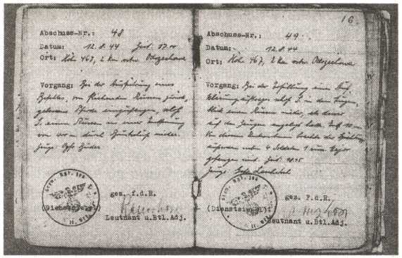 Железный крест для снайпера. Убийца со снайперской винтовкой Железный крест для снайпера. Убийца со снайперской винтовкой