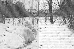 Искусство снайпера Искусство снайпера