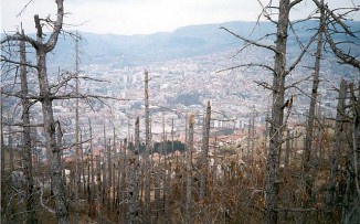 Русские волки Русские волки