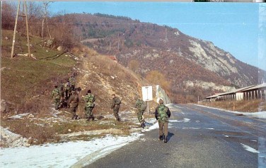 Русские волки Русские волки