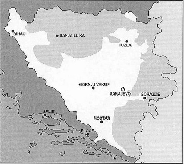 Русские волки Русские волки