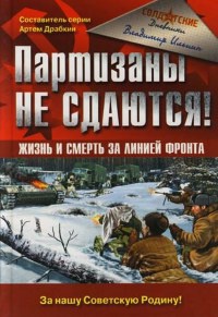 Партизаны не сдаются! Жизнь и смерть за линией фронта - Владимир Ильин - Читать книги онлайн | Слушать аудиокниги онлайн | Электронная библиотека books-lib.com