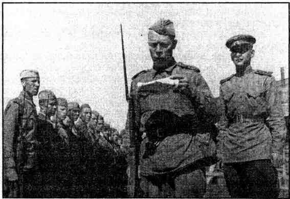 Война от звонка до звонка. Записки окопного офицера