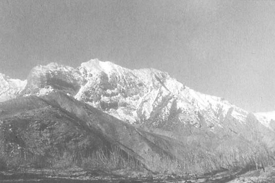 Афганский дневник Афганский дневник