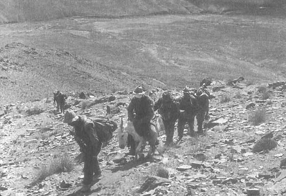 Афганский дневник Афганский дневник