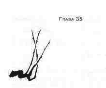 Пруд Белых Лилий Пруд Белых Лилий