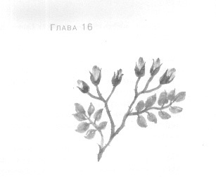 Открытое море Открытое море