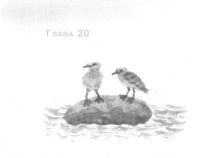 Открытое море Открытое море