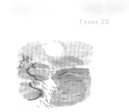 Открытое море Открытое море