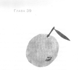 Открытое море Открытое море