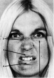 Психология эмоций. Я знаю, что ты чувствуешь Психология эмоций. Я знаю, что ты чувствуешь