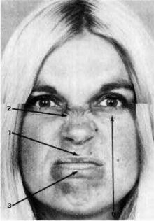 Психология эмоций. Я знаю, что ты чувствуешь Психология эмоций. Я знаю, что ты чувствуешь