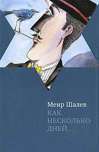 Как несколько дней... - Меир Шалев - Читать книги онлайн | Слушать аудиокниги онлайн | Электронная библиотека books-lib.com