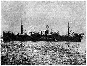 Ковчег детей, или Невероятная одиссея Ковчег детей, или Невероятная одиссея