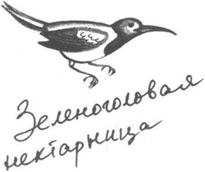 Книга птиц Восточной Африки Книга птиц Восточной Африки