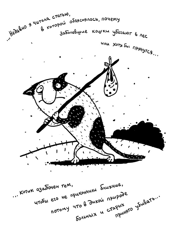 Искусство любовной войны Искусство любовной войны