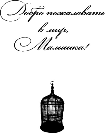 Добро пожаловать в мир, малышка! Добро пожаловать в мир, малышка!
