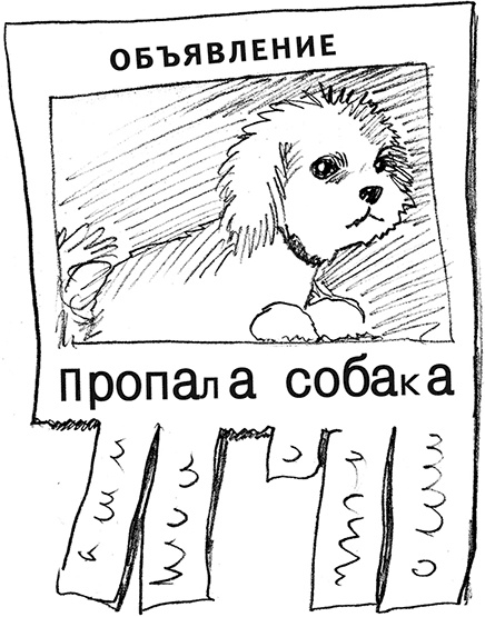 Чудо с хвостиком Чудо с хвостиком