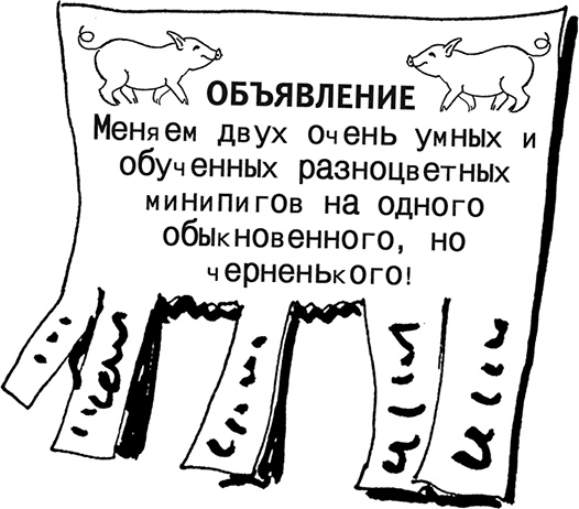 Чудо с хвостиком Чудо с хвостиком