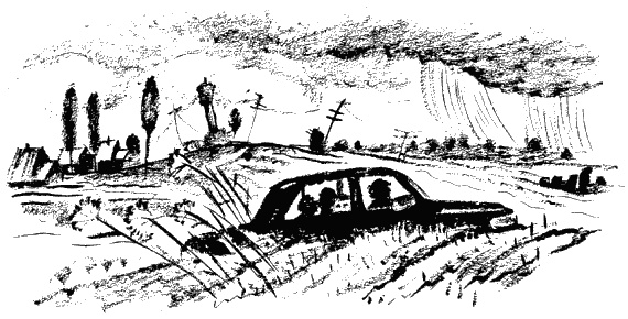 Дела и ужасы Жени Осинкиной. Книга 2. Портрет неизвестной в белом Дела и ужасы Жени Осинкиной. Книга 2. Портрет неизвестной в белом