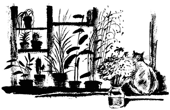 Дела и ужасы Жени Осинкиной. Книга 2. Портрет неизвестной в белом Дела и ужасы Жени Осинкиной. Книга 2. Портрет неизвестной в белом