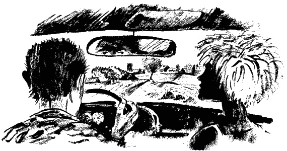 Дела и ужасы Жени Осинкиной. Книга 2. Портрет неизвестной в белом Дела и ужасы Жени Осинкиной. Книга 2. Портрет неизвестной в белом