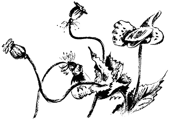 Дела и ужасы Жени Осинкиной. Книга 2. Портрет неизвестной в белом Дела и ужасы Жени Осинкиной. Книга 2. Портрет неизвестной в белом