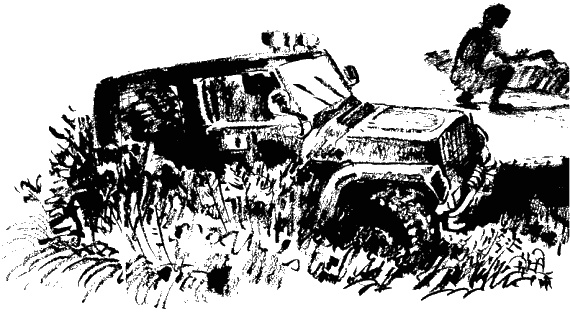 Дела и ужасы Жени Осинкиной. Книга 2. Портрет неизвестной в белом Дела и ужасы Жени Осинкиной. Книга 2. Портрет неизвестной в белом