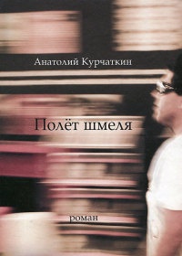 Полет шмеля - Анатолий Курчаткин - Читать книги онлайн | Слушать аудиокниги онлайн | Электронная библиотека books-lib.com