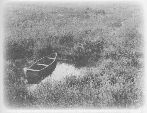 Небесный огонь и другие рассказы Небесный огонь и другие рассказы