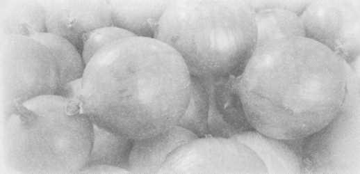 Небесный огонь и другие рассказы Небесный огонь и другие рассказы