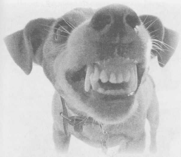 Небесный огонь и другие рассказы Небесный огонь и другие рассказы