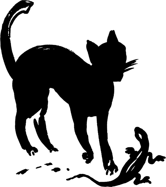 Лестница Ламарка Лестница Ламарка