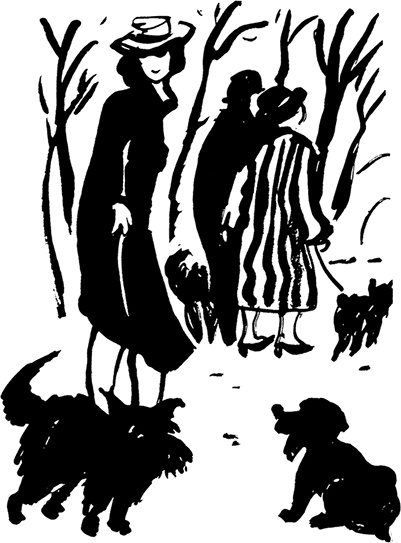 Лестница Ламарка Лестница Ламарка