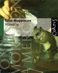 Жалость - Тони Моррисон - Читать книги онлайн | Слушать аудиокниги онлайн | Электронная библиотека books-lib.com