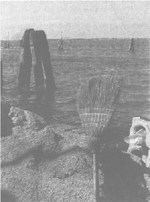 Венеция - это рыба Венеция - это рыба