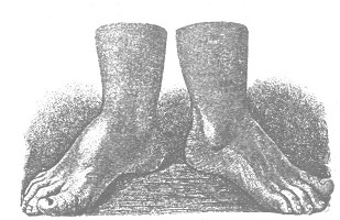 Венеция - это рыба Венеция - это рыба