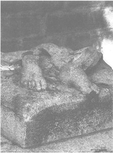 Венеция - это рыба Венеция - это рыба