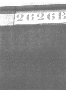 Венеция - это рыба Венеция - это рыба