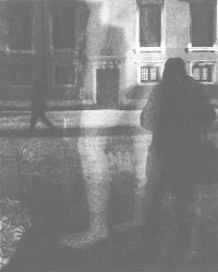 Венеция - это рыба Венеция - это рыба